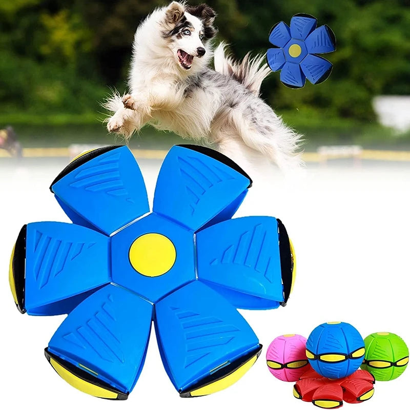 Flying Saucer Dog Training Toy - Durable Outdoor Dog Ball for Active Play & Exercise