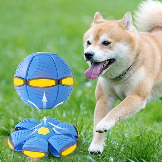 Flying Saucer Dog Training Toy - Durable Outdoor Dog Ball for Active Play & Exercise